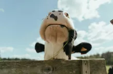 572541