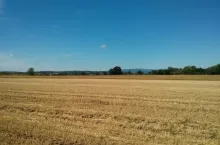 Grunty rolne - ziemia rolna