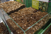 Podłoża uprawowe na ekspozycji 4Berries podczas TSW 15