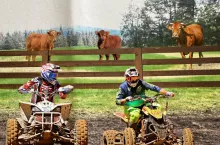Niszczą rolnikom łąki, zrywają pastuchy. ”Wolna amerykanka” na Podhalu