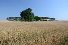 Gospodarstwo