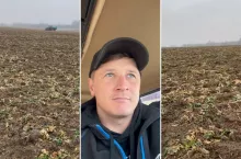 Rolnikowi z Podlasia żubry zryły rzepak. ”Przepędzam je po 12 godzin dziennie”