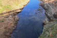 Rowy wraz z budowlami związanymi z nimi funkcjonalnie są urządzeniami melioracji wodnych.