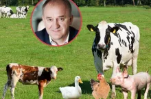 Ceny skupu powyżej kosztów produkcji? ”Plan jest, ale szczegółów brak”