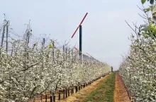 przeciwprzymrozkowa maszyna wiatrowa