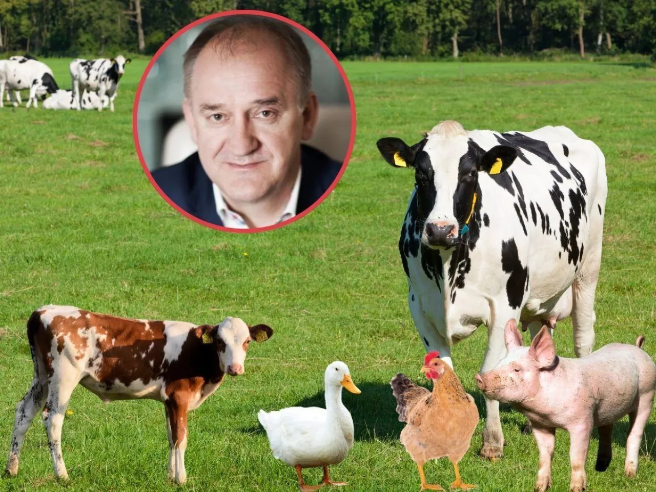 Ceny skupu powyżej kosztów produkcji? ”Plan jest, ale szczegółów brak”