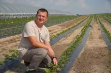 Albert Zwierzyński Doradca Jagodowy