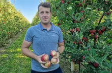 harvista zbiory jablek