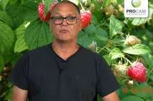 Krzysztof Gasparski Procam Polska