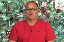 dr Krzysztof gasparski