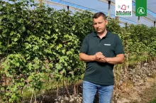 komunikat tomasz domański