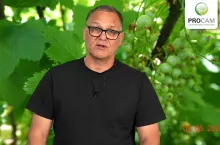 komunikat jagodowy procam