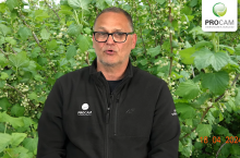 dr Krzysztof gasparski procam