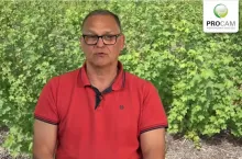 Krzysztof Gasparski - Procam - komunikat jagodowy