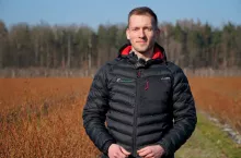 Bartłomiej drzazga na plantacji borówek