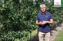 Robert Binkiewicz - Agrosimex - 28.06.2023 - komunikat sadowniczy