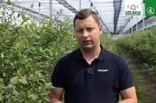 komunikat dla borowek