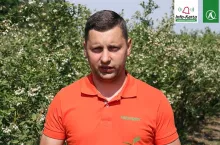 tomasz domański