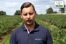 tomasz domanski