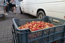 ceny czereśni na broniszach