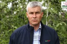 Wzrost owoców - ochrona i pozostałe zabiegi - komunikat sadowniczy Agrosimex