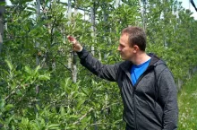 komunikat sadowniczy