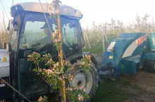 przymrozki-zimna zośka-2020