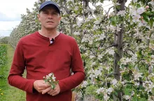 komunikaty sadownicze