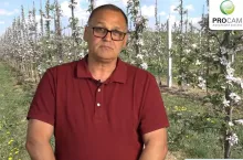 komunikat sadowniczy procam krzysztof gasparski