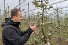 komunikat sadowniczy mateusz nowacki