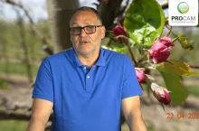 komunikat sadowniczy