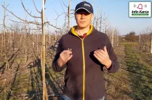 komunikat sadowniczy