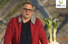 komunikaty sadownicze 2020