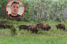 Rolnik z Podlasia ma pomysł, jak walczyć z żubrami