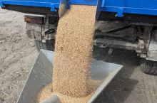 910066