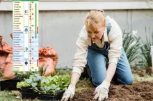 Kalendarz biodynamiczny na kwiecień 2025: jakie prace wykonać w ogrodzie i sadzie?