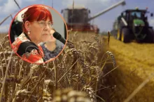 integrowana produkcja roślin