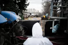 26 marca na Węgrzech wykryto kolejne ognisko pryszczycy w gospodarstwie utrzymującym 3000 sztuk bydła mlecznego