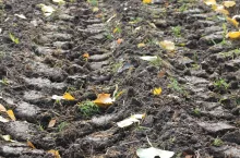 Wpływ ciśnienia w oponach rolniczych na ugniatanie pola