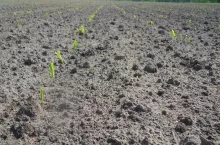 SAMSUNG DIGITAL CAMERA