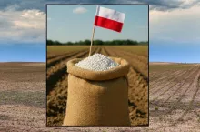 produkcja nawozów w Polsce