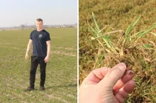 Rolnik z Podlasia od lat stosuje uprawę bezorkową. Jakie ma wnioski?