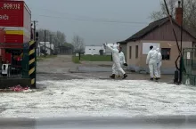 Pryszczyca rozprzestrzenia się.