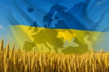 Pole pszenicy w pełnym słońcu, na tle którego widnieje półprzezroczysta flaga Ukrainy pokrywająca zarys mapy Europy – symboliczna ilustracja wpływu eksportu ukraińskiego zboża na unijny rynek.