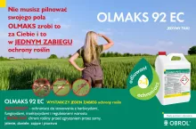olmaks adiuwant