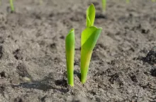 SAMSUNG DIGITAL CAMERA