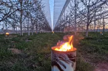 Sad chroniony za pomocą instalacji zraszania nadkoronowego