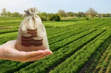 500 zł do hektara. Co rolnik powinien wysiać, żeby otrzymać taką dopłatę?