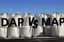 DAP vs MAP różnice w nawozach