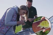 pogotowie polowe, faza pierwszego kolanka
